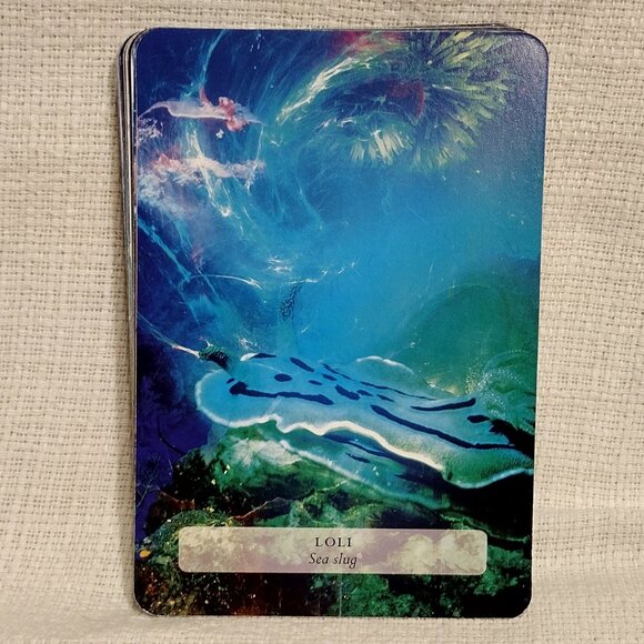 The Hawaiian Oracle - Picture 7 of 14